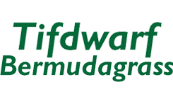 Tifdwarf Bermudagrass