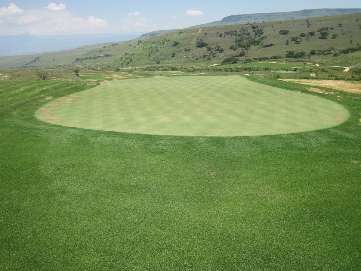 Seeding - Nondela Hole 1